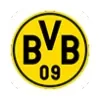 BVB